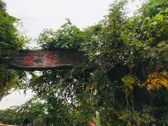 -梁鸿国家湿地公园