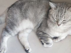 -平行世界·猫咖(首经贸店)