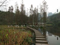 -重庆彩云湖湿地公园