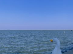 -碧海金沙