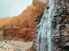 -龙道沟景区