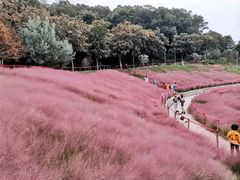 -牛岗山公园