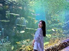 -华夏文旅西安度假区