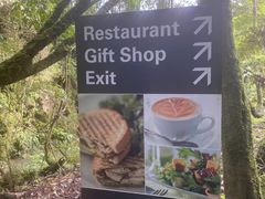 -怀托摩萤火虫洞