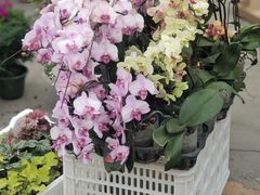 -团泊镇示范集贸市场