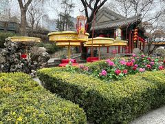 -白家大院·王府宫廷菜(苏州街店)