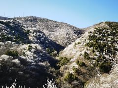 -香山公园
