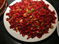 -向川南·水煮鱼·川菜(和平里店)