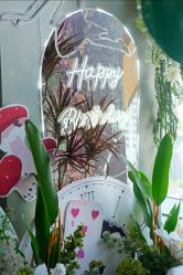 -觅糖派对·宝宝宴生日宴一站式派对策划(河西店)