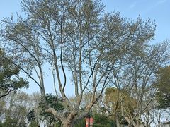 -南通濠河风景名胜区