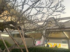 -德宏芒市国际机场