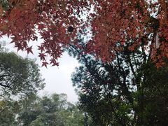 -成都杜甫草堂博物馆