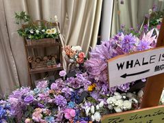 -海马体照相馆(万菱汇店)