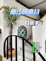 -好看加白色房子