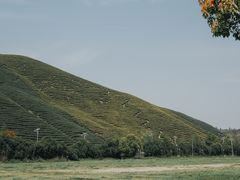 -原乡小镇度假乐园