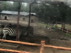 -西安秦岭野生动物园