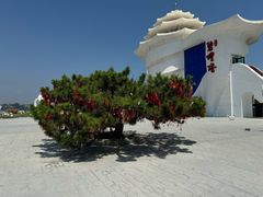 -北戴河碧螺塔海上酒吧公园