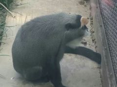 -石家庄市动物园