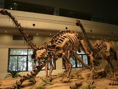 -自贡恐龙博物馆