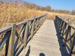 -野鸭湖国家湿地公园