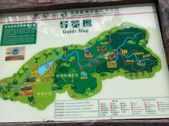 -西双版纳原始森林公园