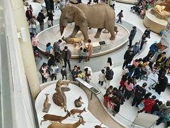 -陕西自然博物馆