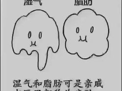 -天姿美容·美体科技SPA·艾姿美店