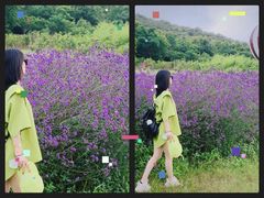 -东海半边山旅游度假区