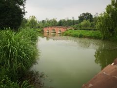 -白鹭湾湿地公园