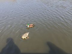 -前关湿地公园