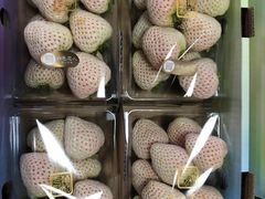 -西郊国际农产品交易中心