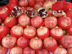 -南坛综合农贸市场