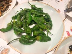-Tapa Tapa