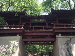 -紫霞湖公园