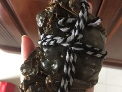 -喜洋洋蟹庄(阳澄湖店)