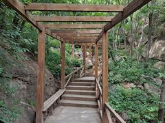 -大岭沟猕猴桃谷风景区