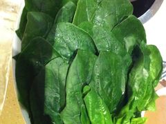 菠菜-金筷子西北菜·捞悦火锅