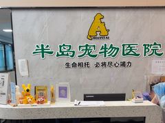 -半岛宠物医院24小时(科华中路店)