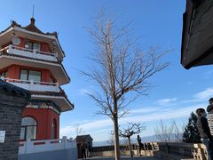 -金鼎轩(亚运村店)