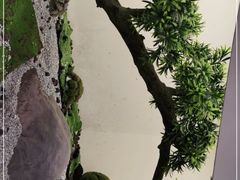 -点心传说·粤菜点心(佐阾虹湾店)