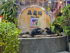 -無招牌海鮮(芽笼店)