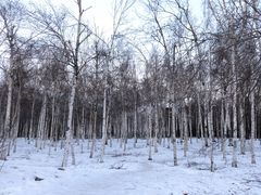 -长春市南湖公园