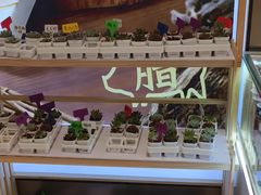 -海底捞火锅(龙湖北京大兴天街店)