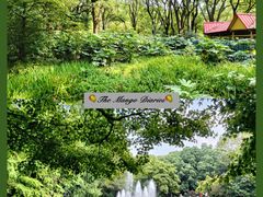 -上海共青森林公园