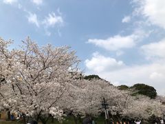 -苏州上方山国家森林公园