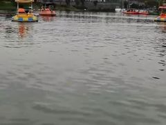 -枫香湖儿童公园