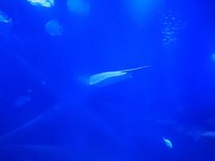 -临沂极地海洋王国