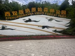 -西双版纳原始森林公园