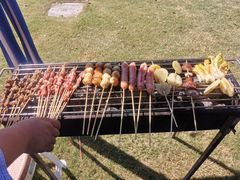 -春花秋色城市公园