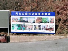 -天女山森林公园